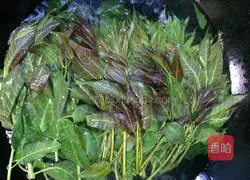 Illustration of how to make cold Chinese toon 4