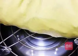 Sauce Illustration of how to make gherkins 4