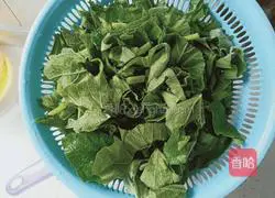 Illustration of home-style fried pumpkin leaves 3