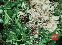 Illustration of how to make cold kelp shreds 10