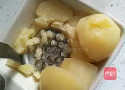 Cheese baked mashed potatoes recipe 2