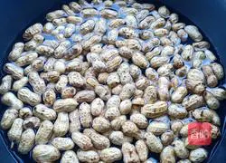 Illustration of making salted peanuts 2