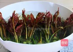 Illustration of how to make Chinese toon mixed with tofu 3