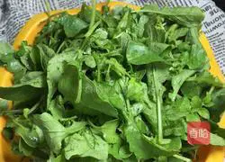 How to make spicy stir-fried radish sprouts with dried shrimps Illustration 1