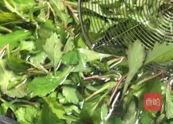 Illustration of how to make Malantou mixed with tofu 6