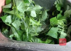 Illustration of how to stir-fry king oyster mushrooms and sweet potato leaves 1