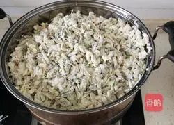 Illustration of steaming sophora japonica flowers 2