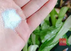 Illustration of how to make oil-consuming mushrooms and rapeseed 4