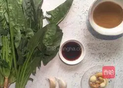 Illustration of ketogenic low-carb weight loss spinach with sesame sauce 1