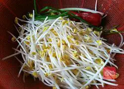 Cold bean sprouts recipe 2