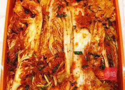 Illustration of Korean Spicy Cabbage 15