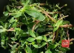 Illustration of how to make cool horseradish tea 1