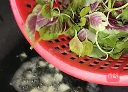 Illustration of how to make stir-fried red amaranth 4