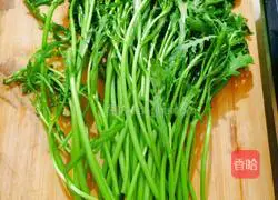 Illustration of how to make white chrysanthemum chrysanthemum 1