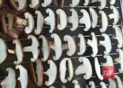 Mushroom powder baby version illustration 3