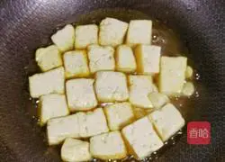 Braised tofu recipe 5