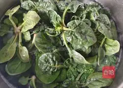 Illustration of how to make cold spinach 3