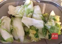 Illustration of how to make kimchi 1