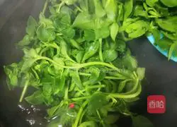 Illustration of how to make cold Tianqi vegetables 15