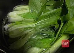 Garlic Shanghai green Illustration of how to do it 3