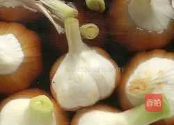 The simplest way to make sugar and garlic Illustration 5
