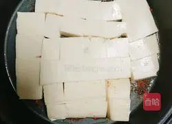 Illustration of grilled tofu 2