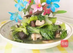 Illustration of how to stir-fry shiitake mushrooms and sea greens 16