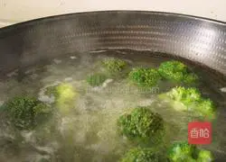 Green leaves Illustrations of root's affectionate practices 5