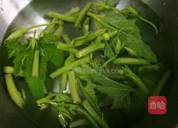 Illustration of how to make cold pumpkin vines 1