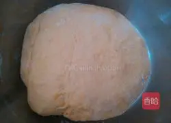 Caterpillar recipes 3