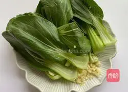 Garlic Shanghai Green Recipe Illustration 2