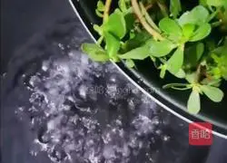 Illustration of how to make cool horse-toothed tea 2