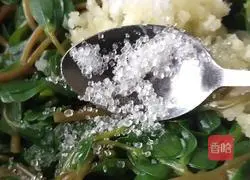 Cold purslane Practice illustration 6