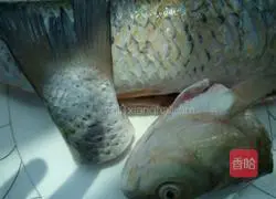 Illustration of how to open a peacock's tail 2