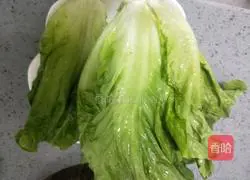 crisp Illustration of how to make lettuce 1