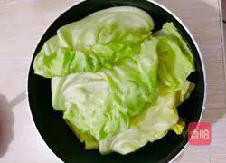 Illustration of stir-fried cabbage 1