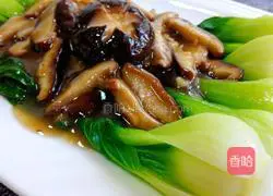 Illustration of how to cook mushrooms and rapeseed 13