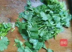 Cold Shredded Chicken Breast Recipe Illustration 13