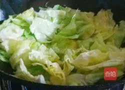 Illustration of home-style cabbage with sauce 2