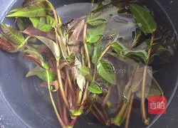 Illustration of how to make toon and eggs 2