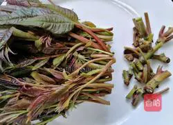 Illustration of how to make cold Chinese toon 2