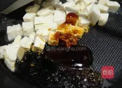 Illustration of braised frozen tofu 2