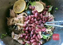 Illustration of lemon shredded chicken legs 14