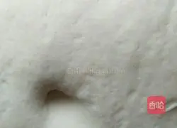 Illustration of how to make vegetarian steamed stuffed buns with eggplant filling 2