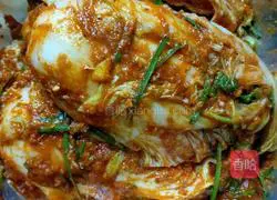 Korean style Illustration of making kimchi 6