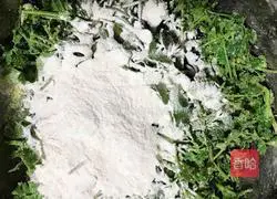 Steam Illustration of how to make coriander 7