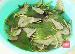 Illustration of how to stir-fry sweet potato leaves 2