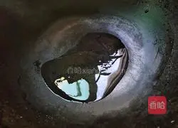 Illustration of how to make fried carrots with king oyster mushrooms 9