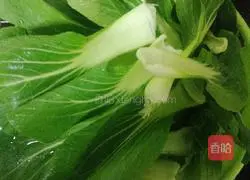 Illustration of mushroom dishes 2