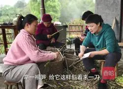 Illustration of making homemade pickled pepper and bamboo shoots sour and spicy as an appetizer (with old mother's water recipe included)